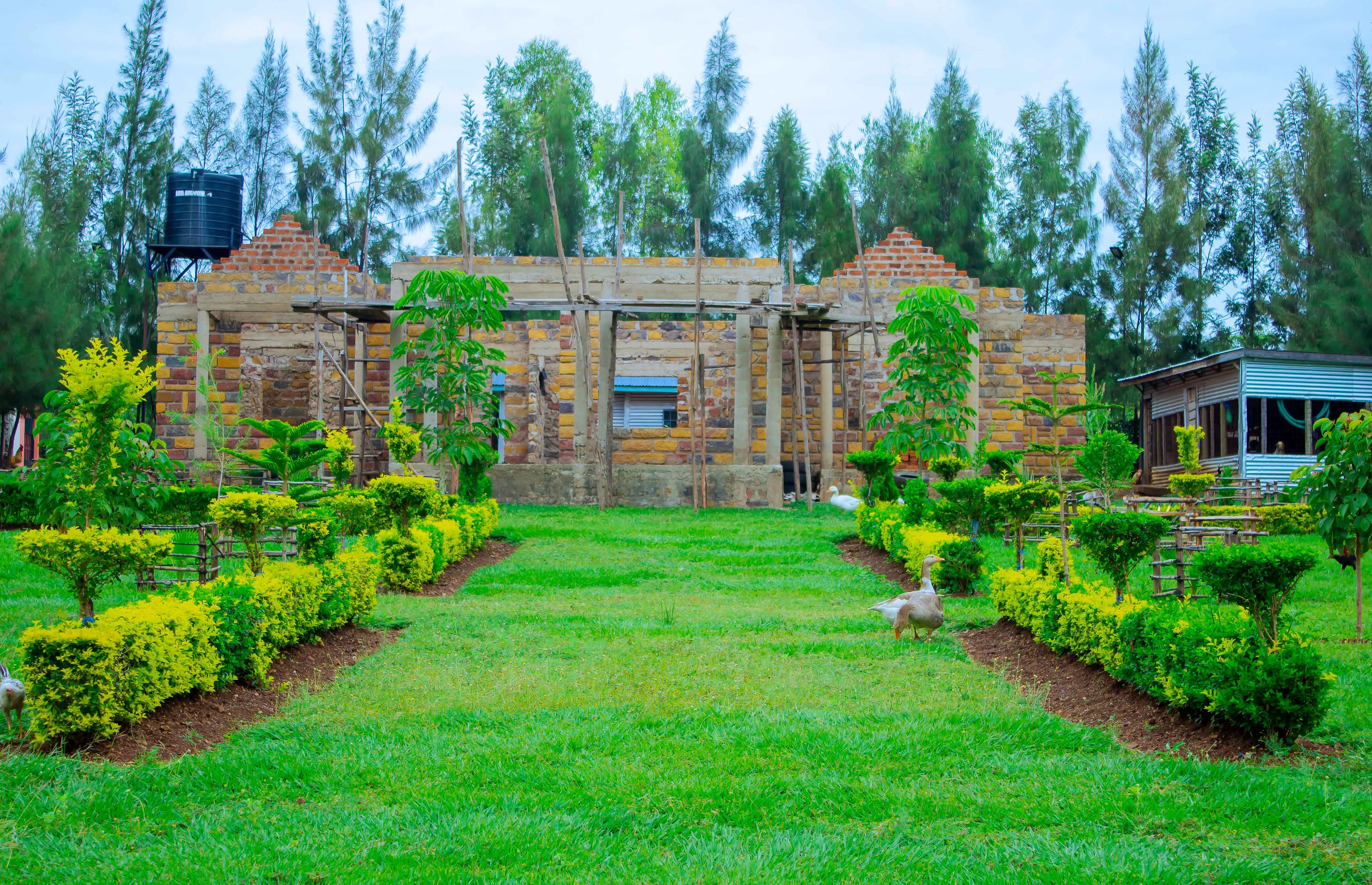 Youth Center